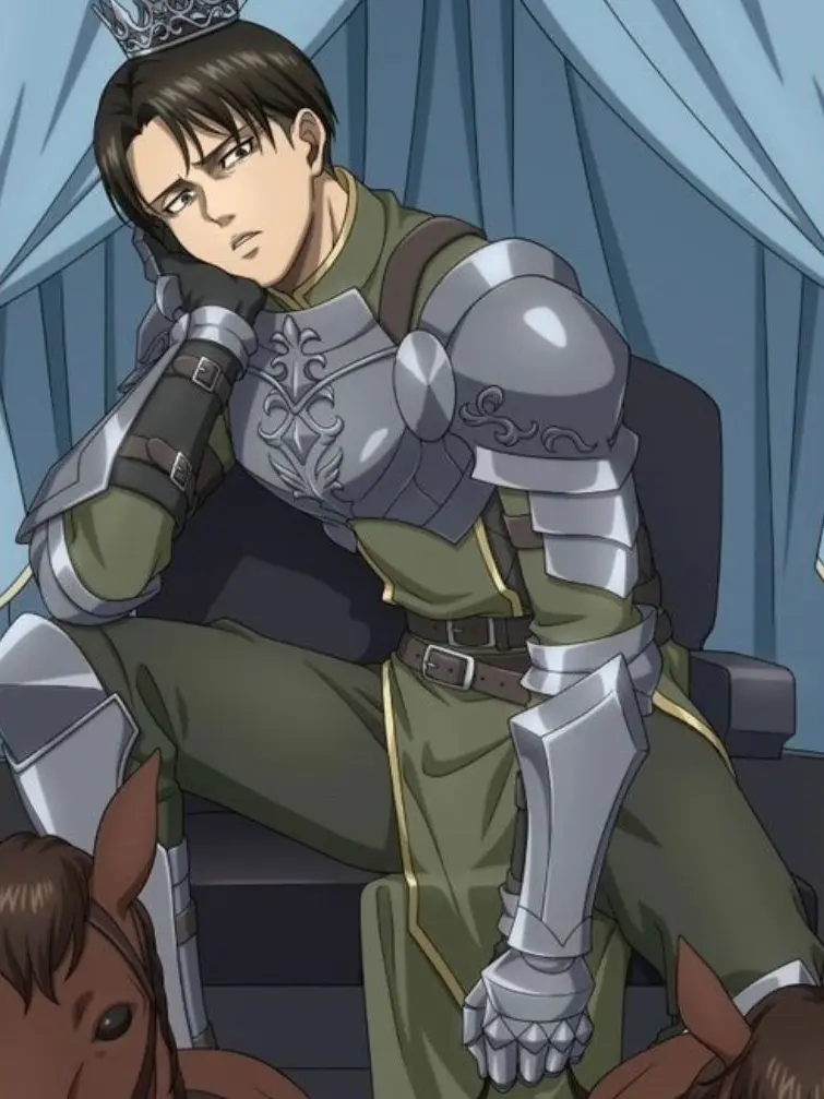 LargeDuck4954의 Knight Levi Ackerman