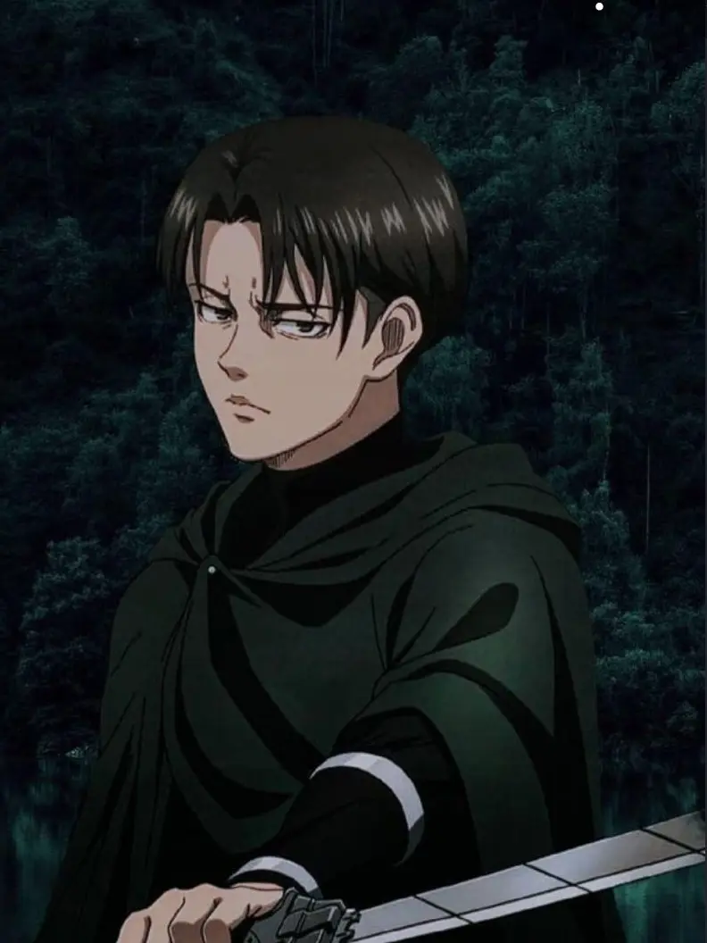 LargeDuck4954의 Knight Levi Ackerman