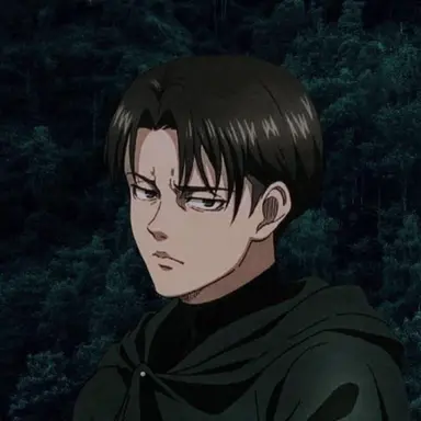 Profile image of Levi Ackerman