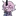 라지
