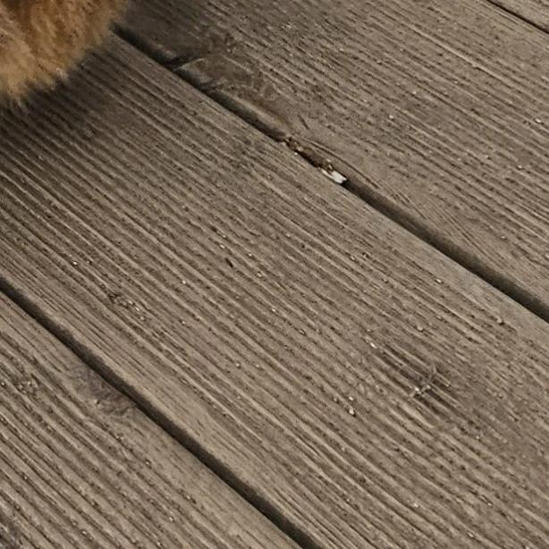 퀸톨