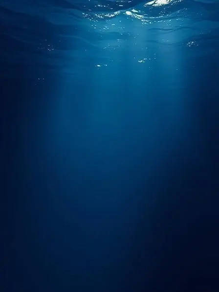 PoliteDhole3980의 海底深淵団