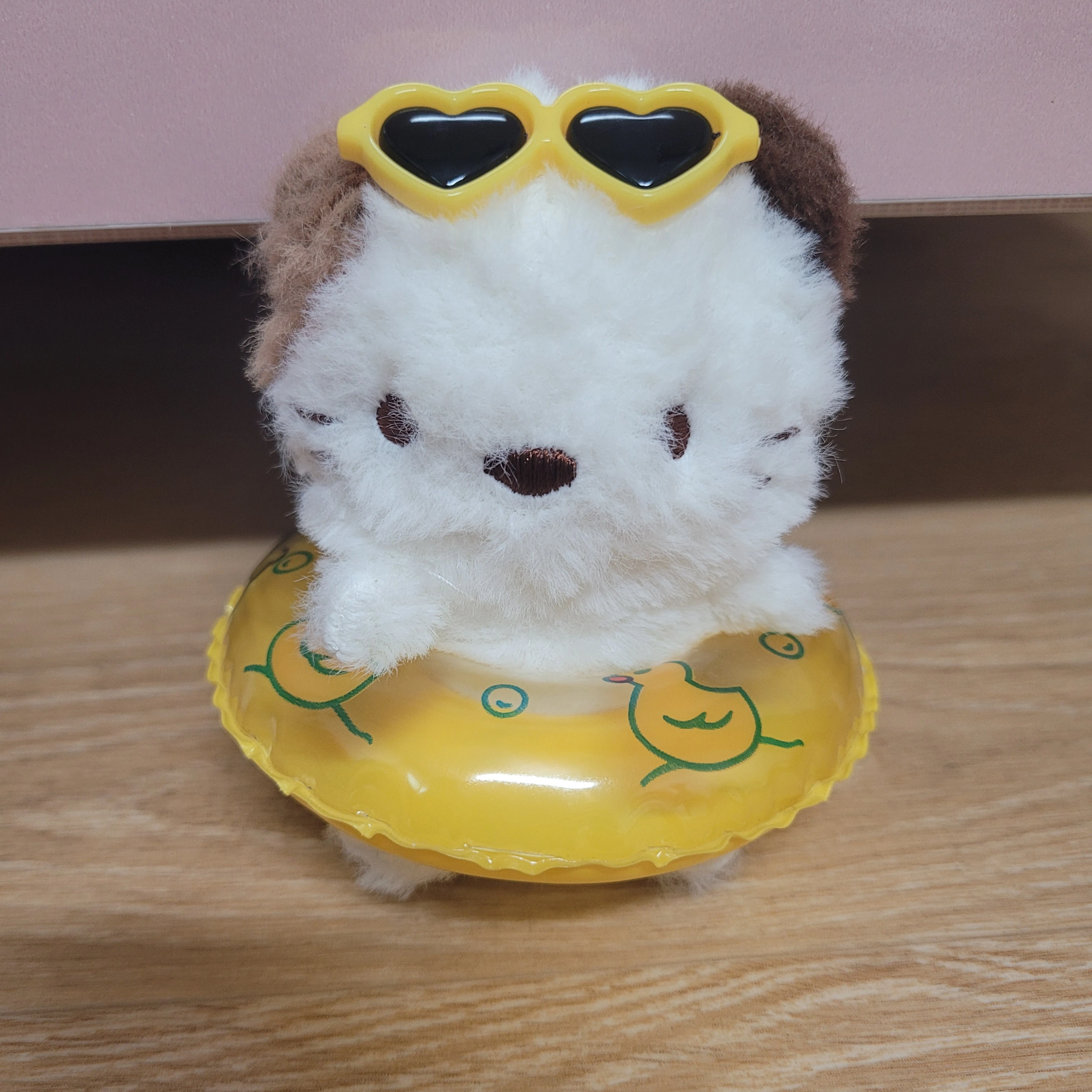 코냥이