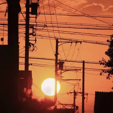 Profile image of 준브레드