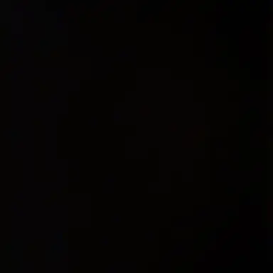 Profile image of 김 동 현