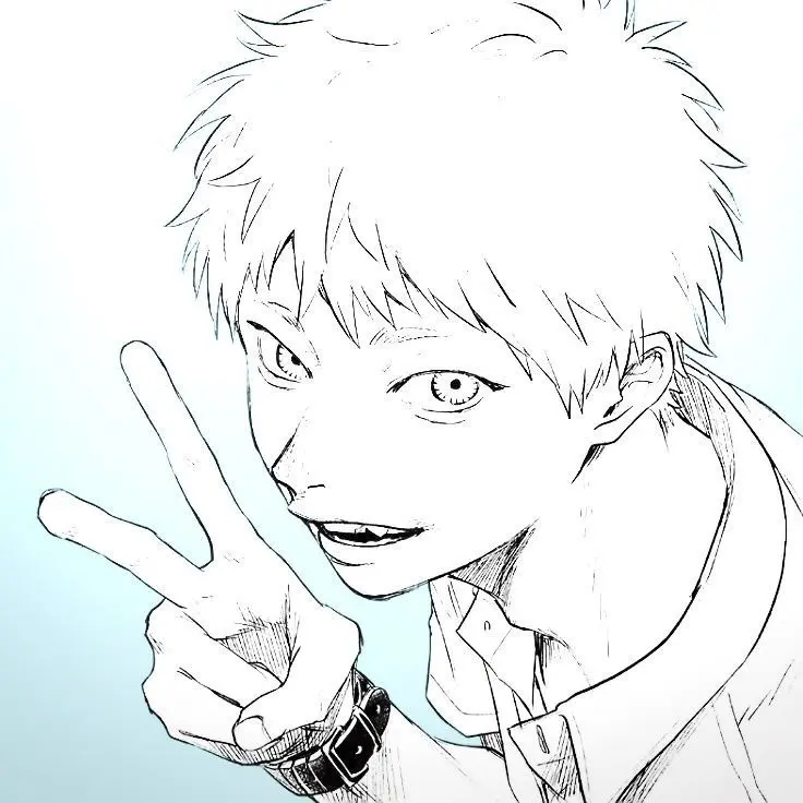 PickyWire6368의 ヒカルと