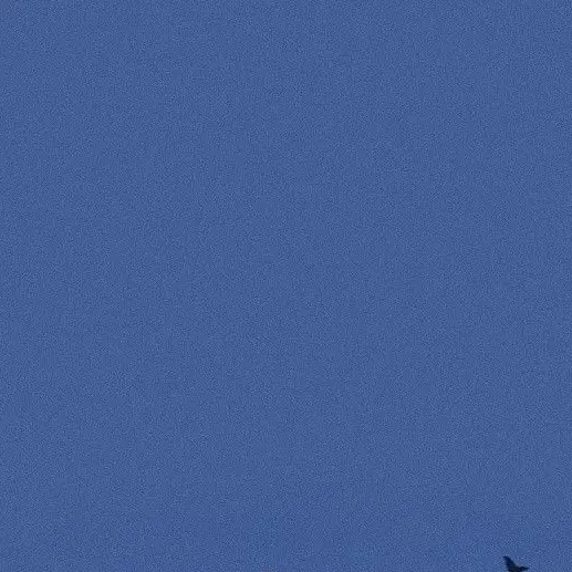 BoredRack9276의 第二次世界大戦