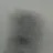 이우석