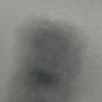 이우석