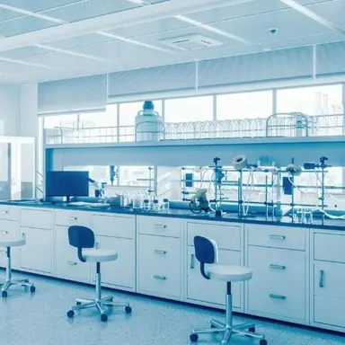 Profile image of The lab