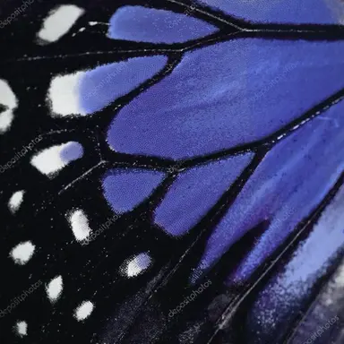 Profile image of ヴィオール
