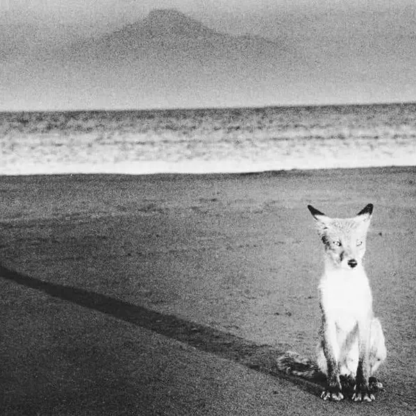 FlyingBeagle의 기억.