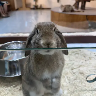 Profile image of 유저