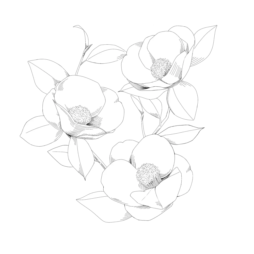 yyy_.xlil의 백혜우