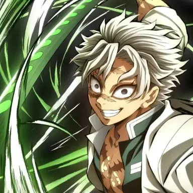 Profile image of 시나즈가와 사네미