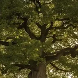 Profile image of Millennial Tree