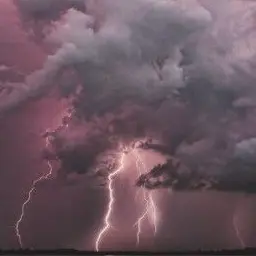 Profile image of Stormbringer