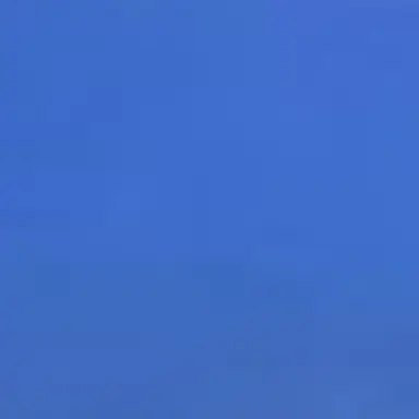 Profile image of 樹