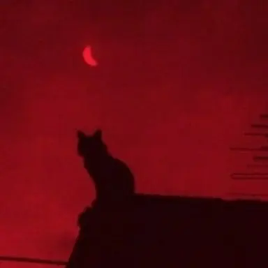 Profile image of 맷 머독