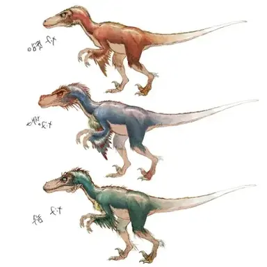 Profile image of 벨로