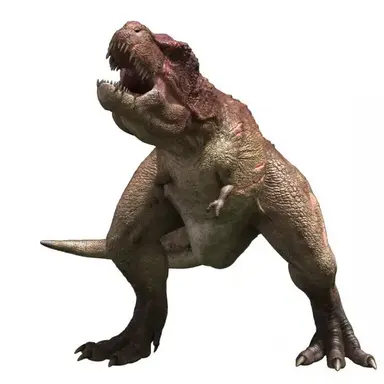 Profile image of 애꾸눈