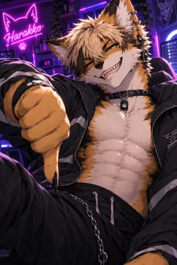 Profile image of Haracco