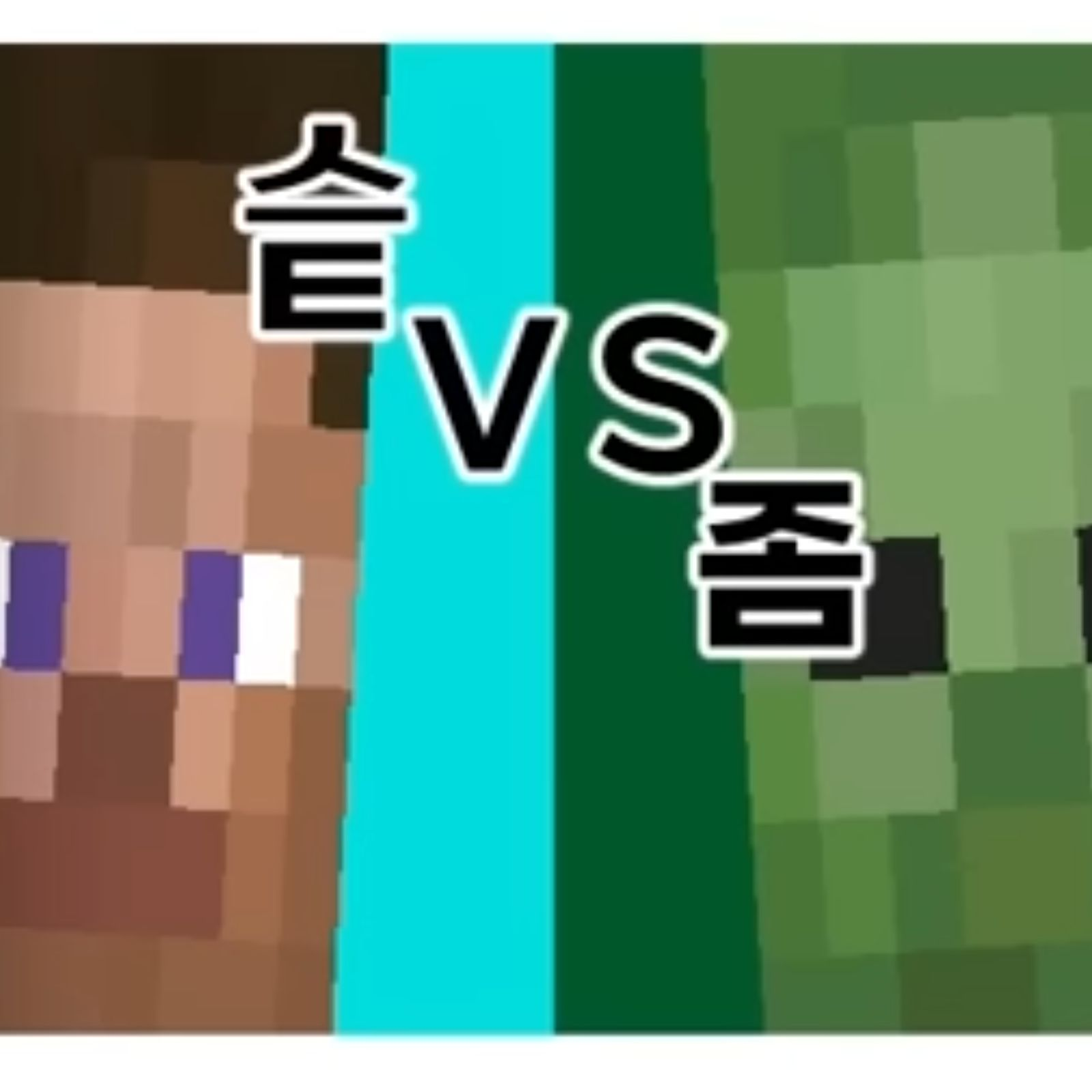 슽 VS 좀 대표 이미지