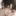 진 시 우