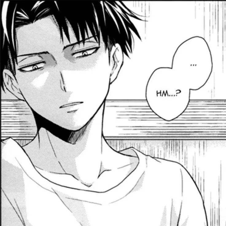 FlakyScrew0853의 짝꿍 리바이