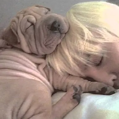 Profile image of Kwon Jiyong