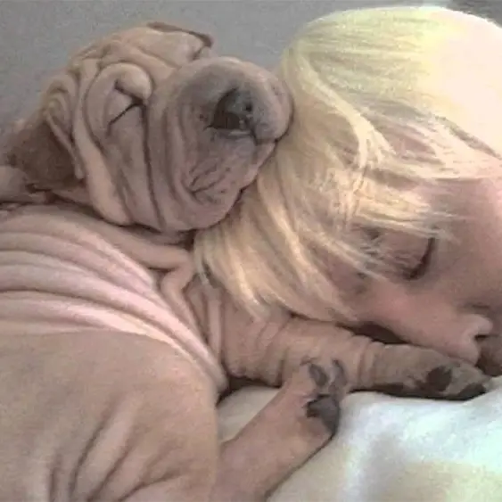 GildedFlame1526의 Kwon Jiyong