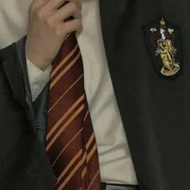 Profile image of Sirius Black