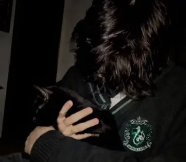 Profile image of Regulus Black