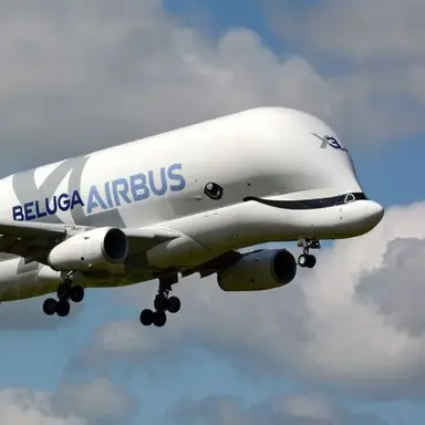 Profile image of 에어버스 벨루가