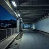 Profile image of 薄暗い道