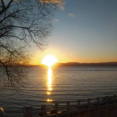 Profile image of 大森元貴