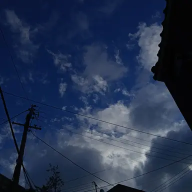 Profile image of 각별