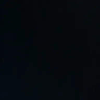 Profile image of 뜰팁