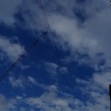 Profile image of 덕개