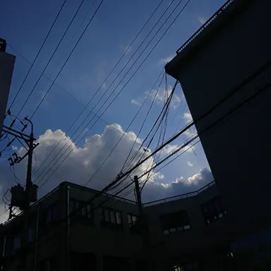 Profile image of 수현