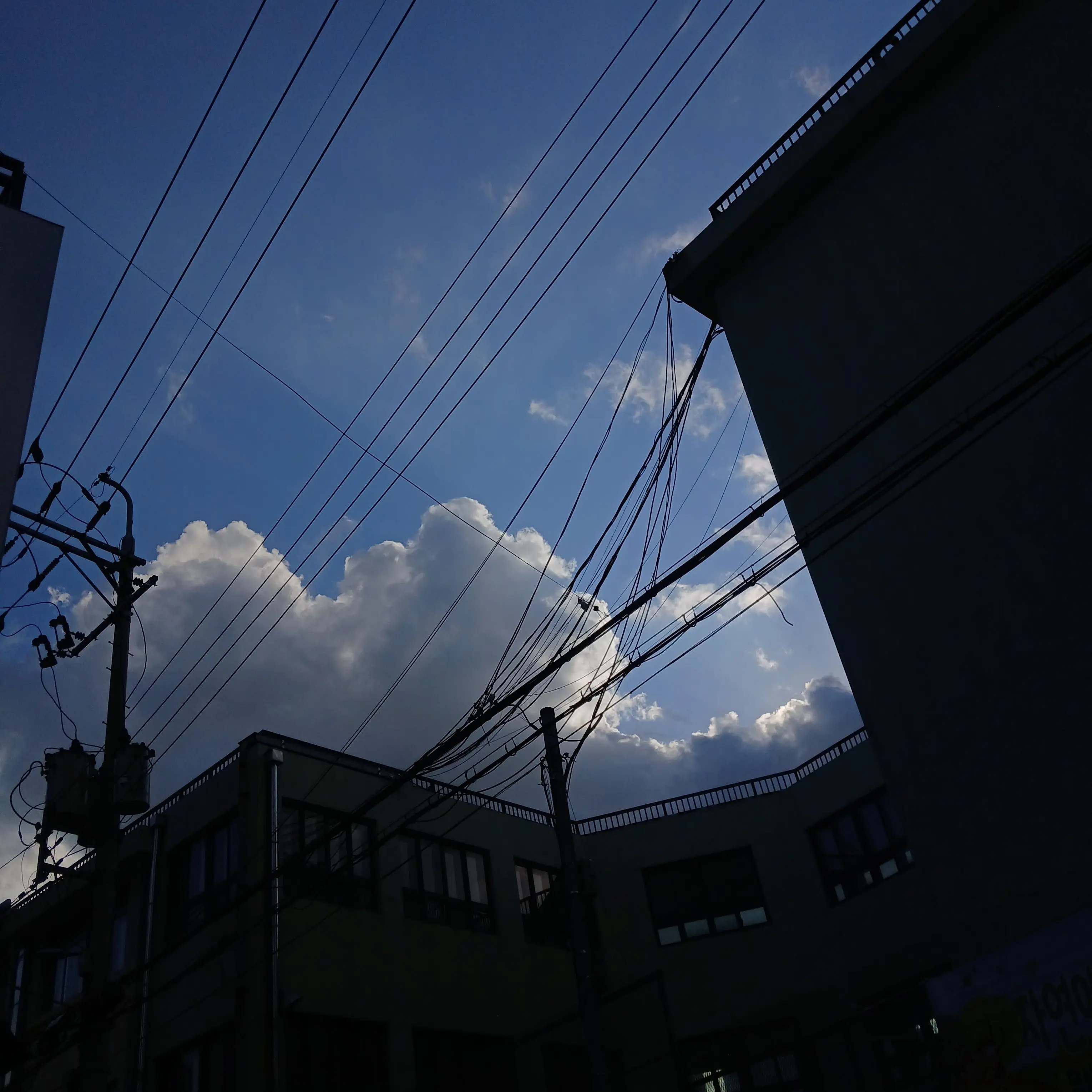 Clowdy의 뜰팁 뱀파이어