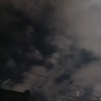 Profile image of 공룡