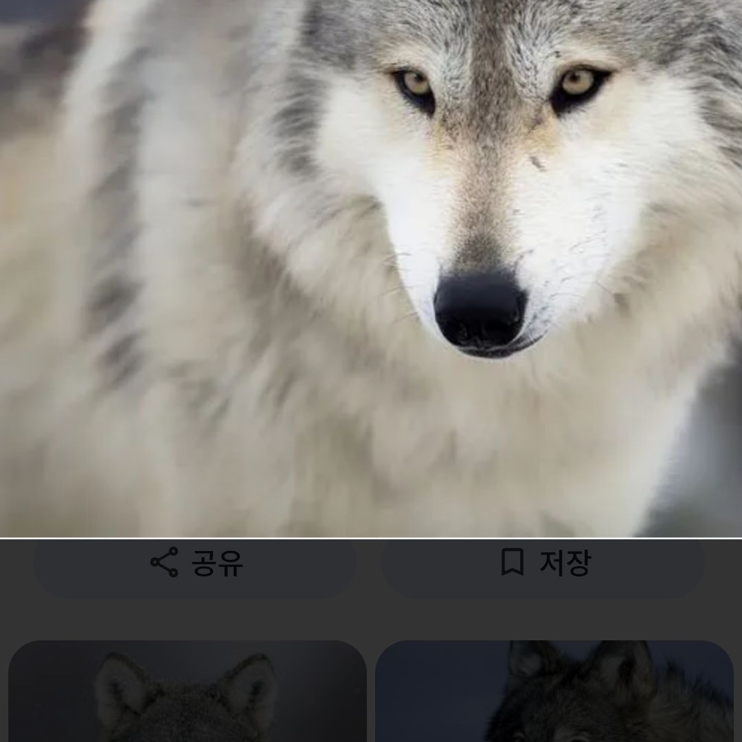 여자들과의 동거 생활 대표 이미지