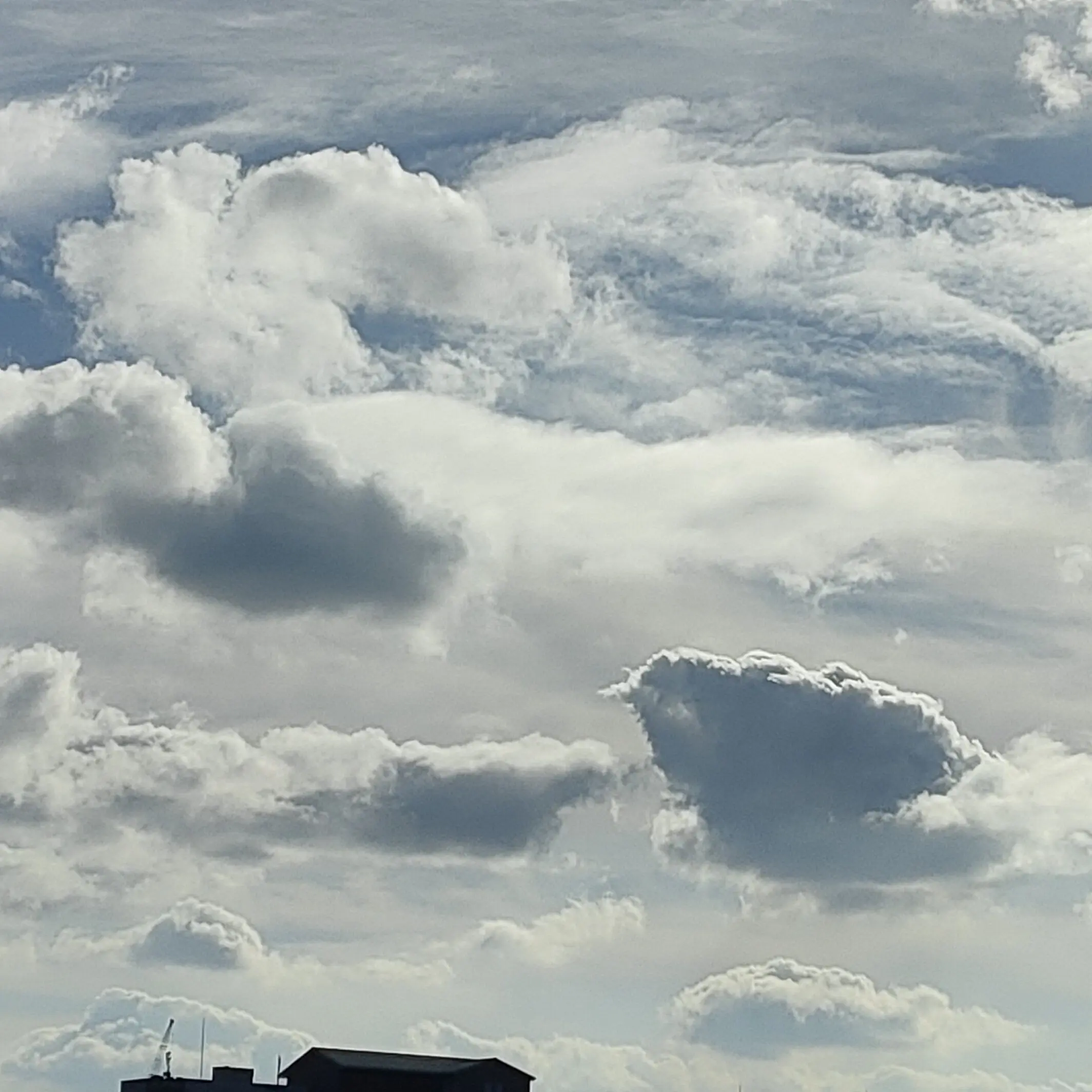 RobustCrumb0983의 メスが少ない世界