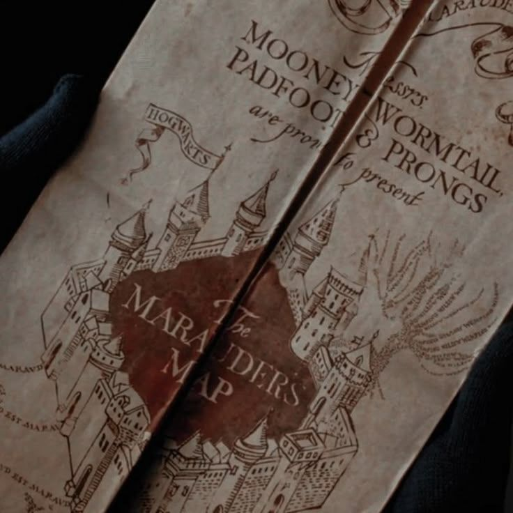 Sirius Black 대표 이미지