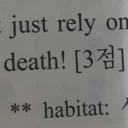 FoggySalt5512의 저사승