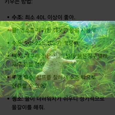 Profile image of 여우