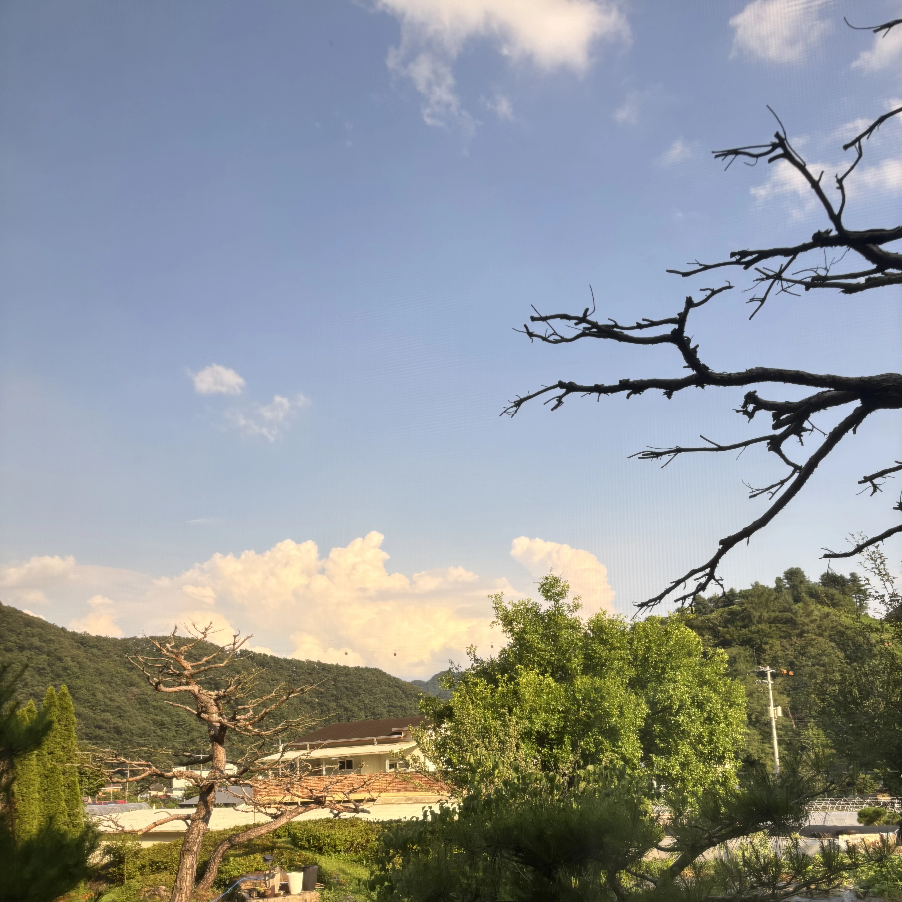 영국