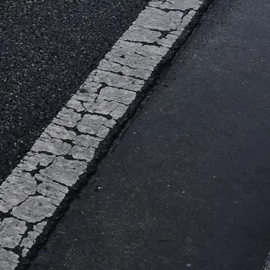 Profile image of 단 온