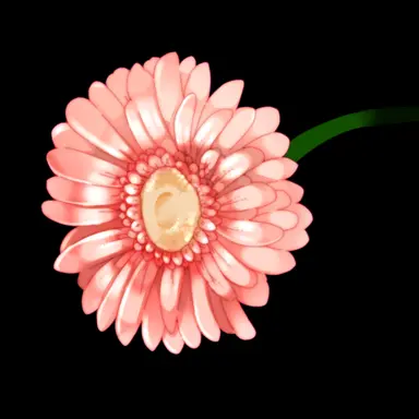 Profile image of 전소연